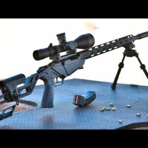 Top 10 Best .17 HMR Rifles for Plinking and Varmint Hunting