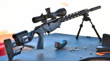 Top 10 Best .17 HMR Rifles for Plinking and Varmint Hunting
