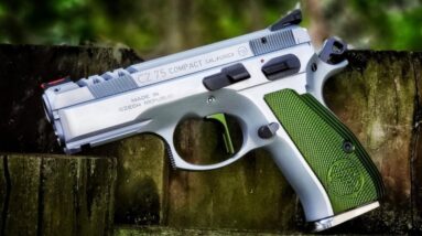 Top 10 Low-Recoil Guns Even Kids Can Shoot 2023