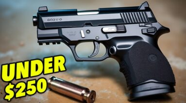 10 Cheap NEW Guns To Buy When You’re Broke!
