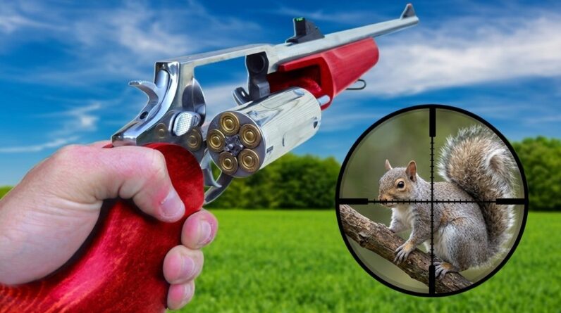 The ULTIMATE .410 SHOTGUN EVERY AMERICAN MUST OWN is ONLY $239!